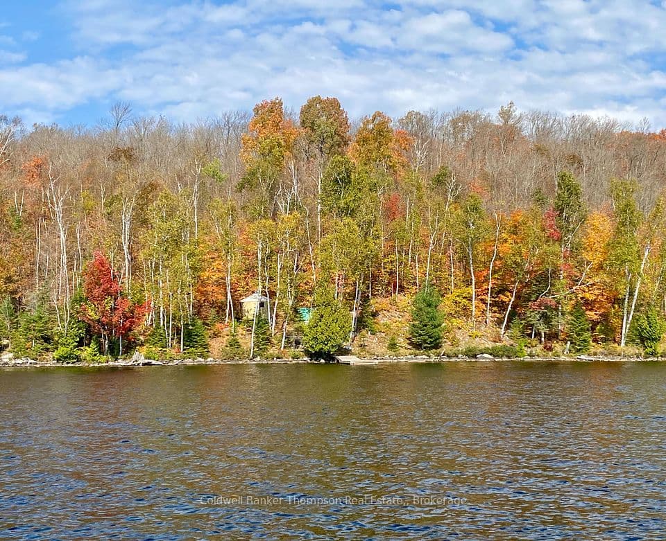 0 Little Long Lake S, Parry Sound Remote Area, ON P0H 1S0 – photo 3