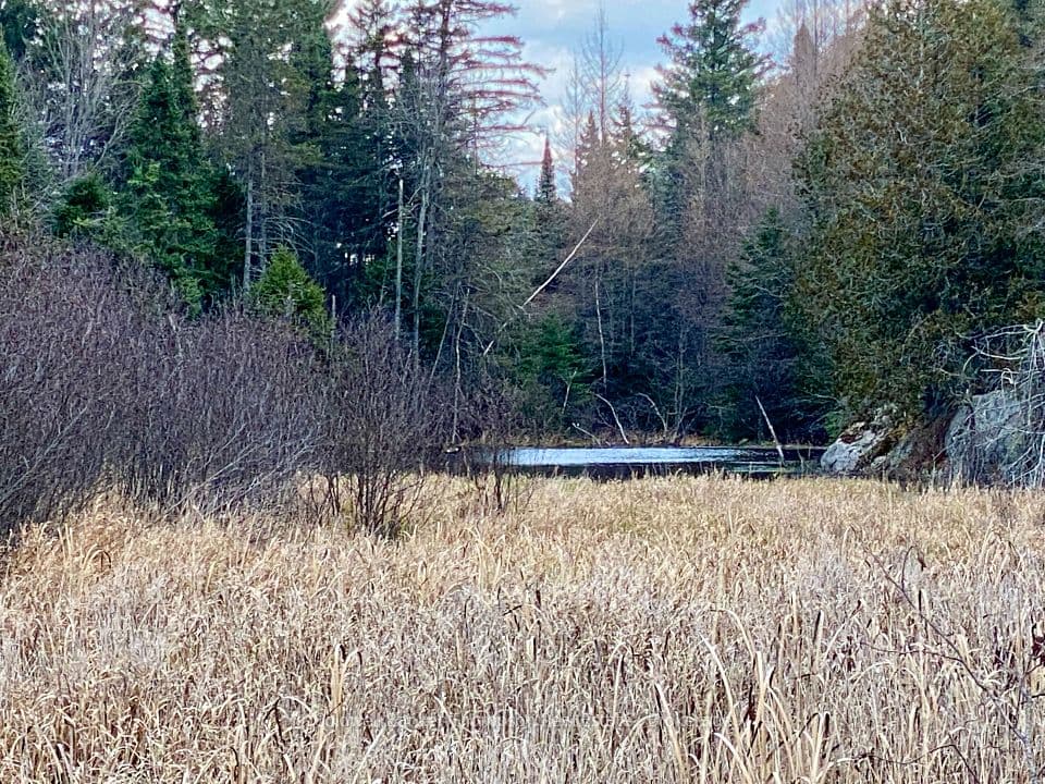 LOT 0-B LEGROU'S LAKE Road, Parry Sound Remote Area, ON P0H 1A0 – photo 2