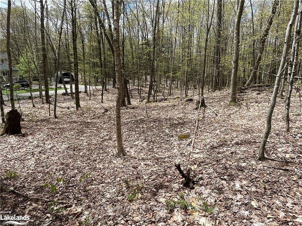 Lot 133 Brennan Circle, Huntsville, ON P1H 2J3 – photo 3