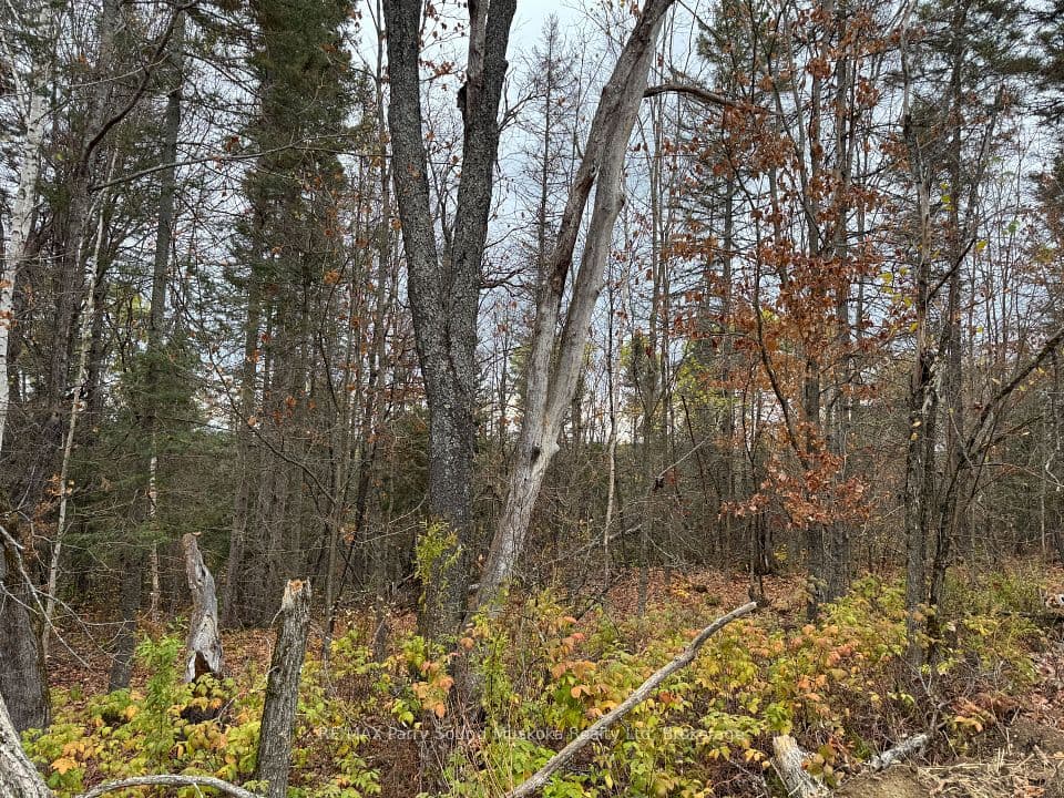 0-2 Bennett Road, Parry Sound Remote Area, ON P0H 1J0 – photo 3