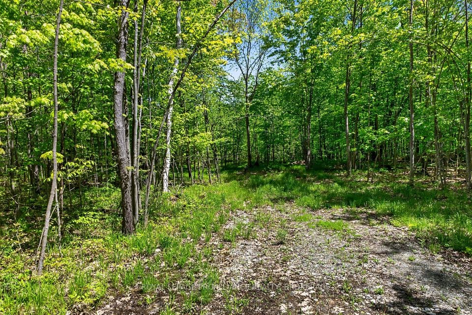 PT LTS 12 & 13 Devil Lake Road, South Frontenac, ON K0G 1X0 – photo 2
