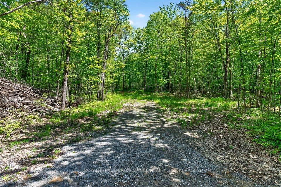 PT LTS 12 & 13 Devil Lake Road, South Frontenac, ON K0G 1X0 – main photo