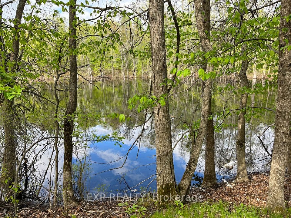 Lot 4 Sandy Shores Trail, Madawaska Valley, ON K0J 1B0 – photo 3