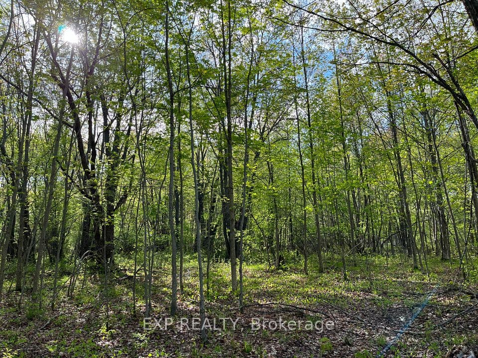 Lot 7 Casson Trail, Madawaska Valley, ON K0J 1B0 – main photo