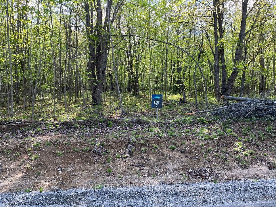 Lot 7 Casson Trail, Madawaska Valley, ON K0J 1B0 – photo 2