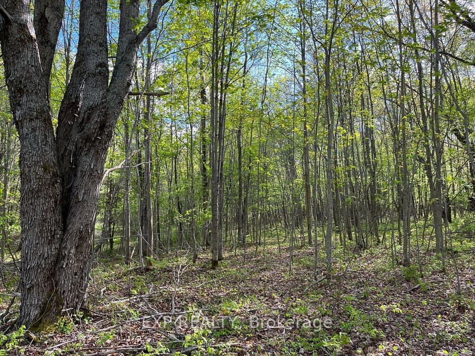 Lot 7 Casson Trail, Madawaska Valley, ON K0J 1B0 – photo 3