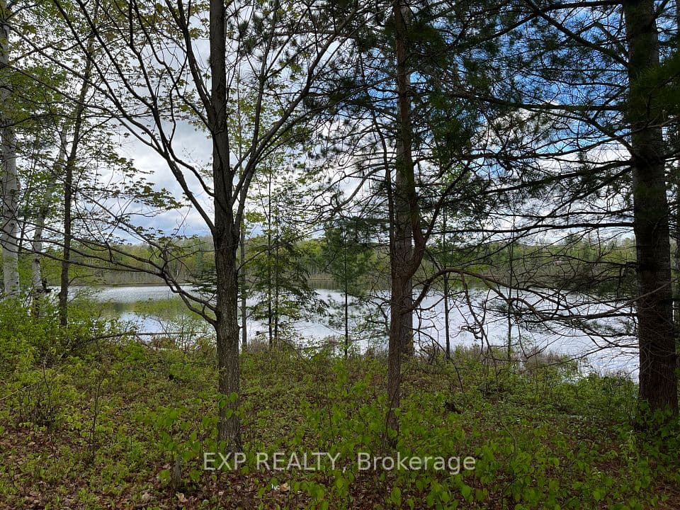 Lot 9 Casson Trail, Madawaska Valley, ON K0J 1B0 – photo 3