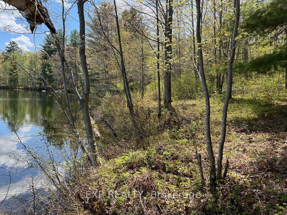 Lot 15 Sandy Shores Trail, Madawaska Valley, ON K0J 1B0 – photo 3