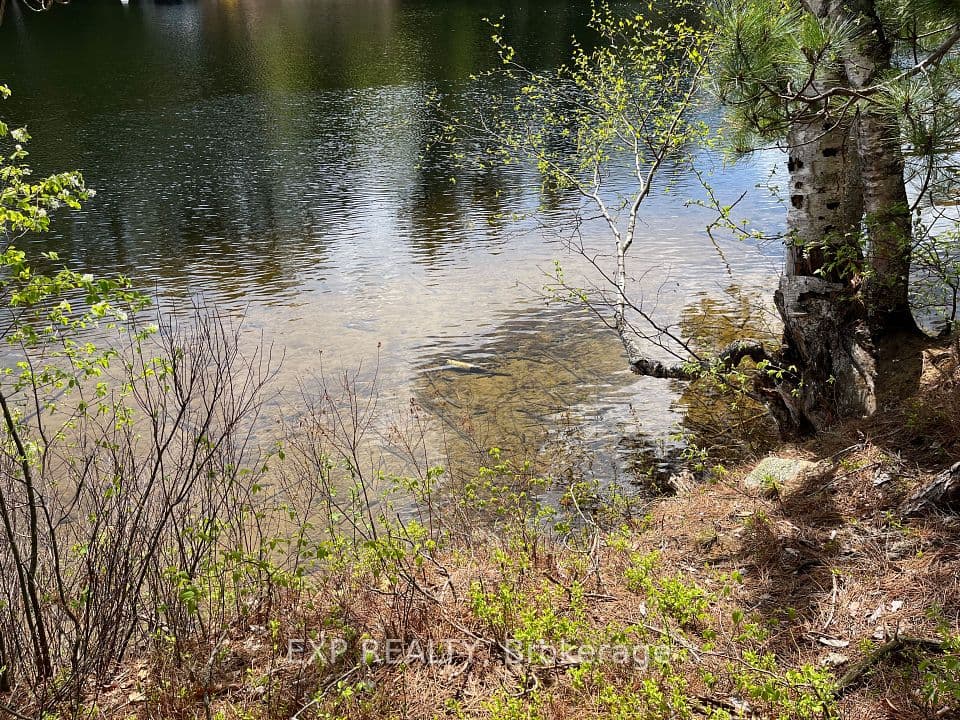 Lot 37 Sandy Shores Trail, Madawaska Valley, ON K0J 1B0 – photo 2