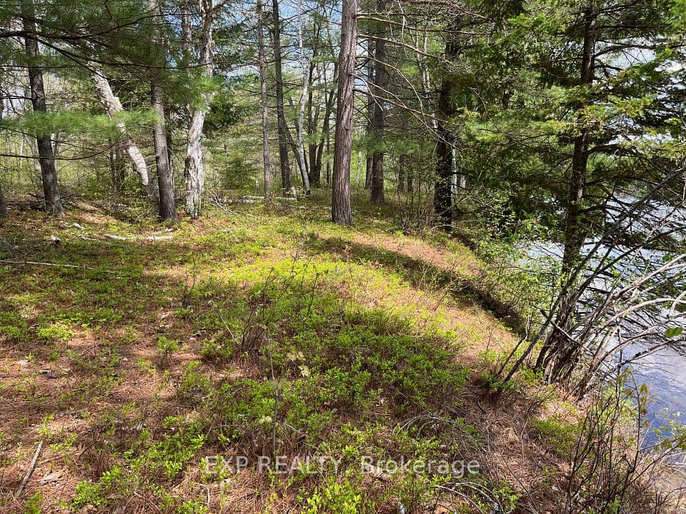 Lot 37 Sandy Shores Trail, Madawaska Valley, ON K0J 1B0 – photo 3