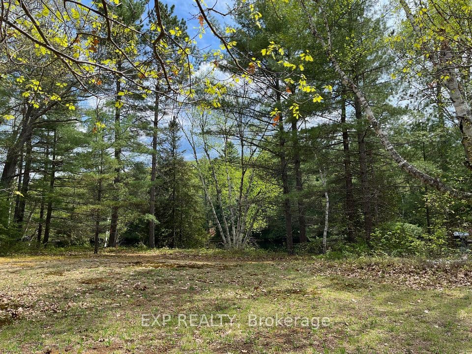 Lot 37 Sandy Shores Trail, Madawaska Valley, ON K0J 1B0 – main photo