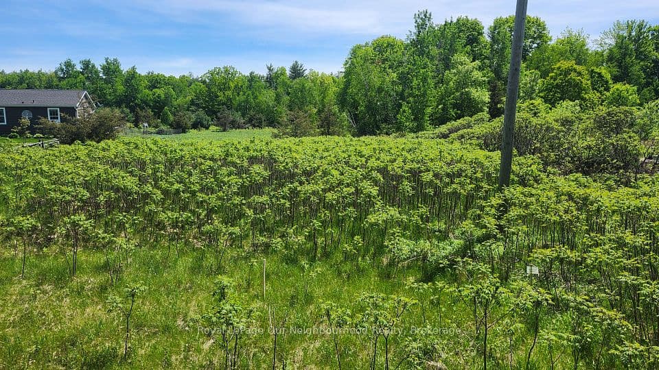 LOT 14 TRENT RIVER Road, Trent Hills, ON K0L 1Z0 – main photo