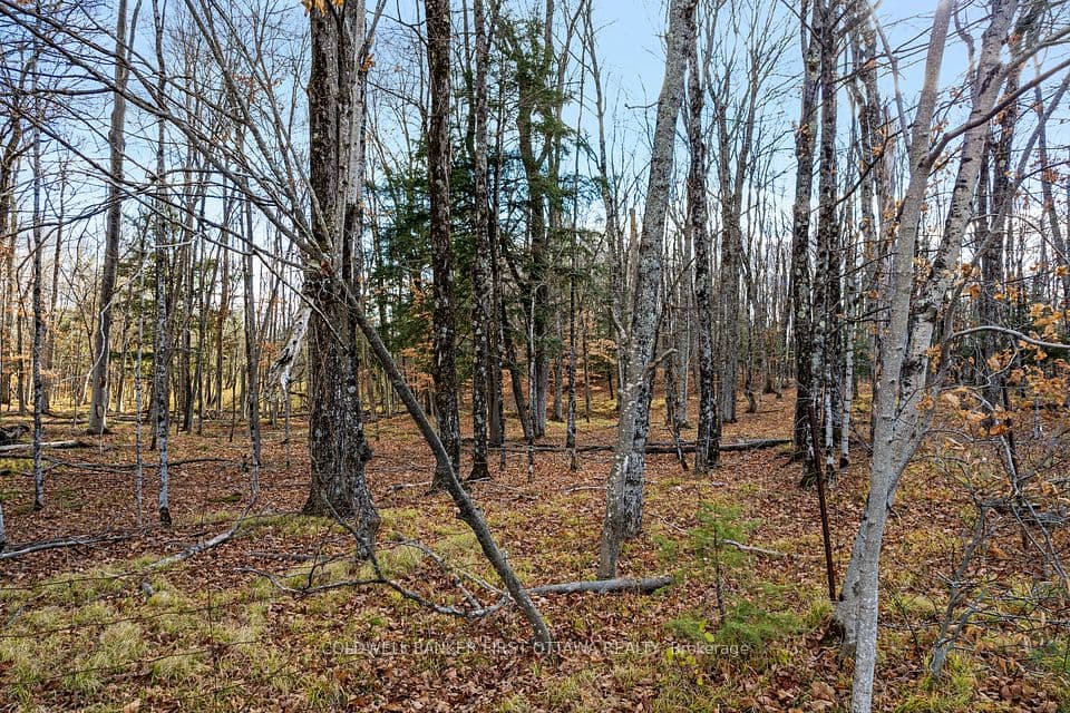 PT 1-00 Herron Mills Road, Lanark Highlands, ON K0G 1K0 – photo 3