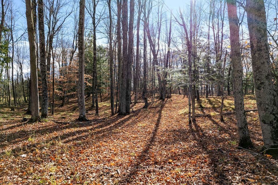 PT 2-00 Herron Mills Road, Lanark Highlands, ON K0G 1K0 – main photo