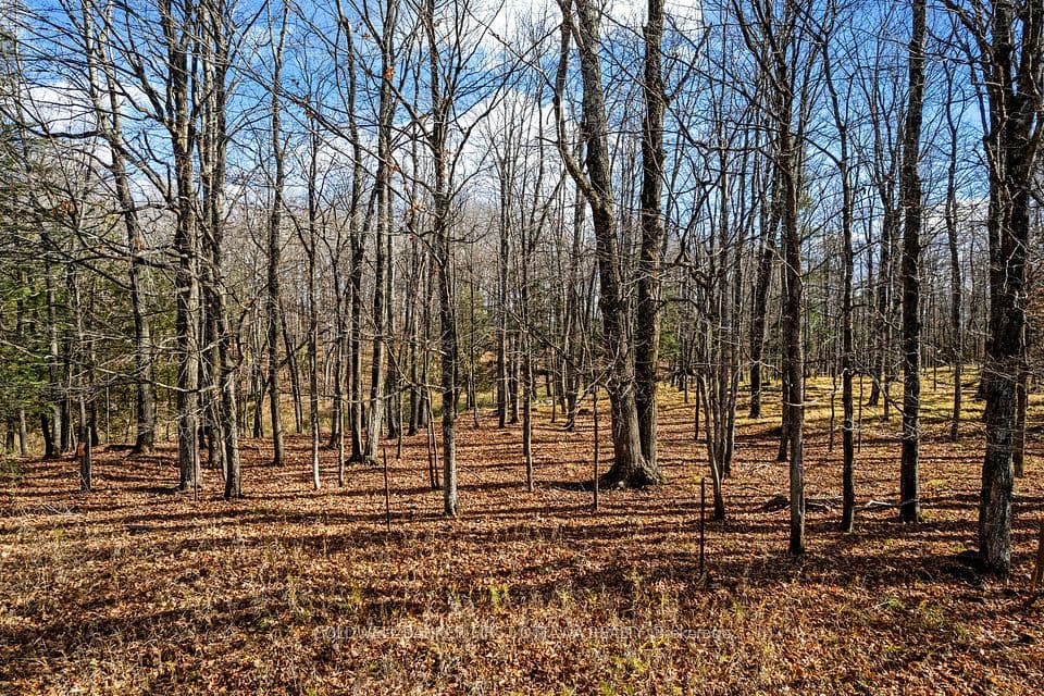 PT 3-00 Herron Mills Road, Lanark Highlands, ON K0G 1K0 – main photo
