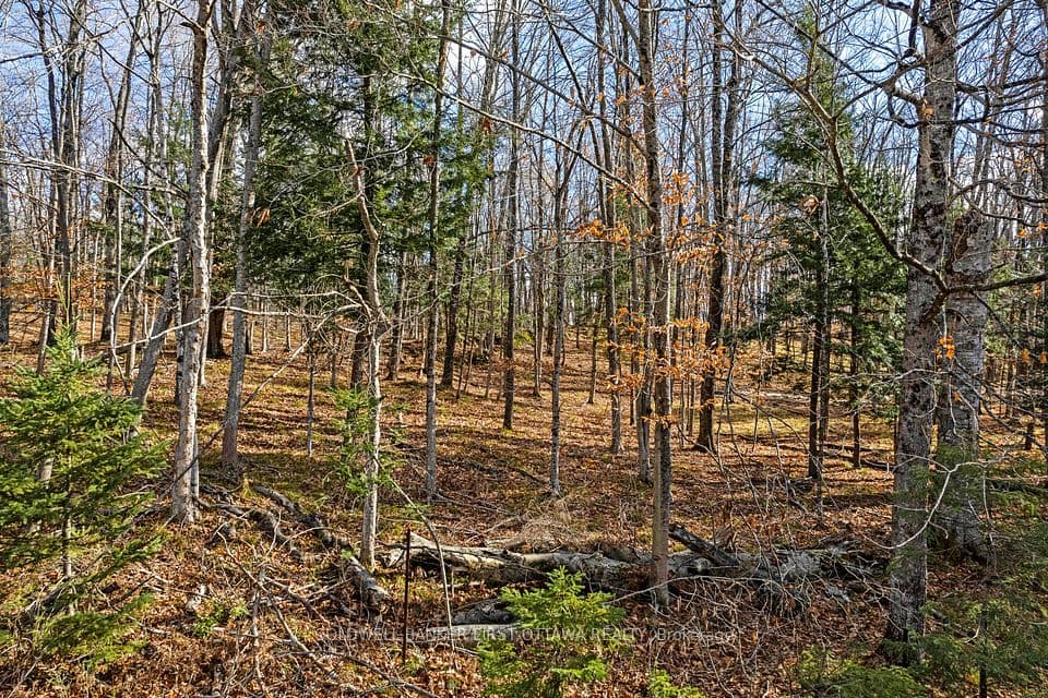 PT 3-00 Herron Mills Road, Lanark Highlands, ON K0G 1K0 – photo 3