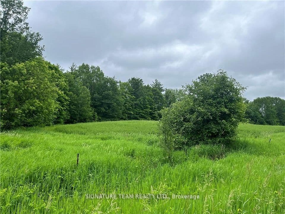 0 Grant Settlement Road, Whitewater Region, ON K0J 1V0 – photo 3
