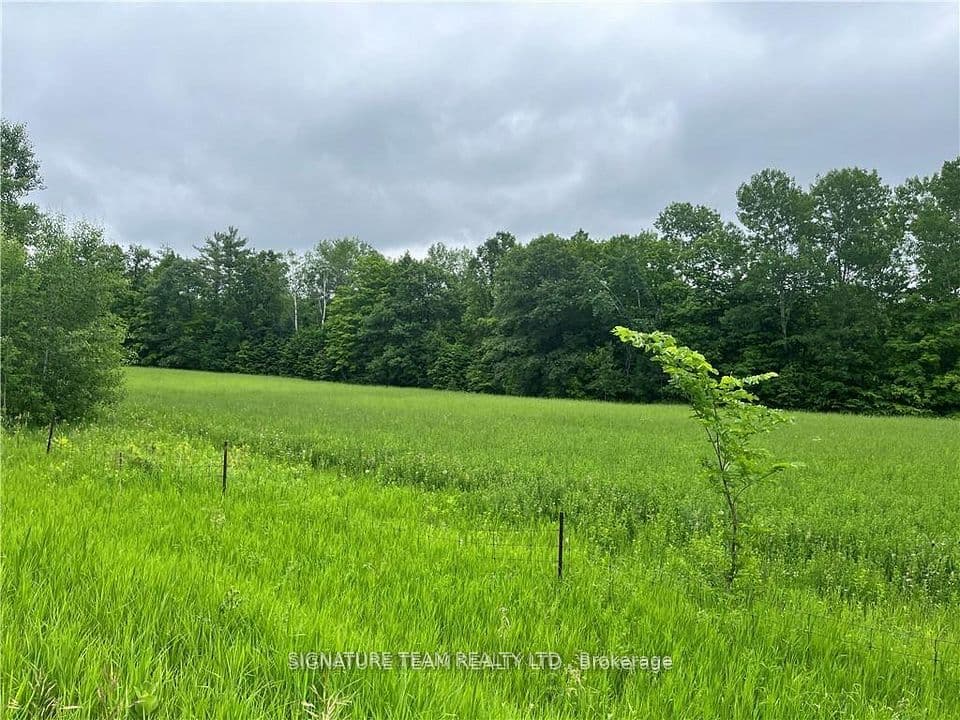 0 Grant Settlement Road, Whitewater Region, ON K0J 1V0 – photo 2