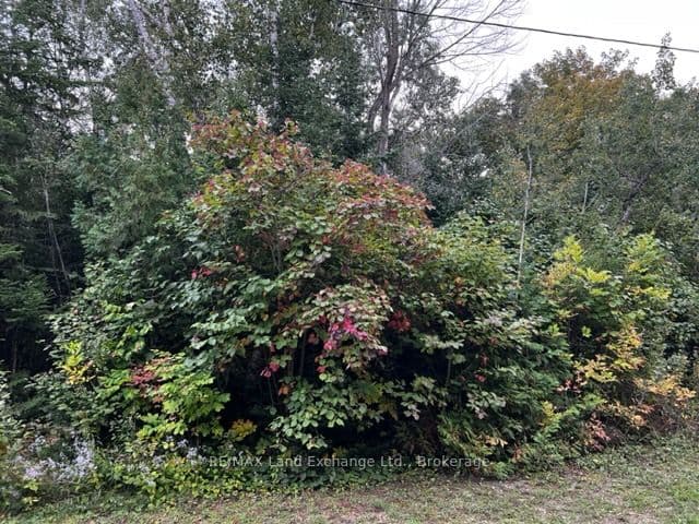 5 SHORE Road, Saugeen Shores, ON N0H 2L0 – main photo