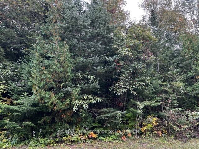 5 SHORE Road, Saugeen Shores, ON N0H 2L0 – photo 3