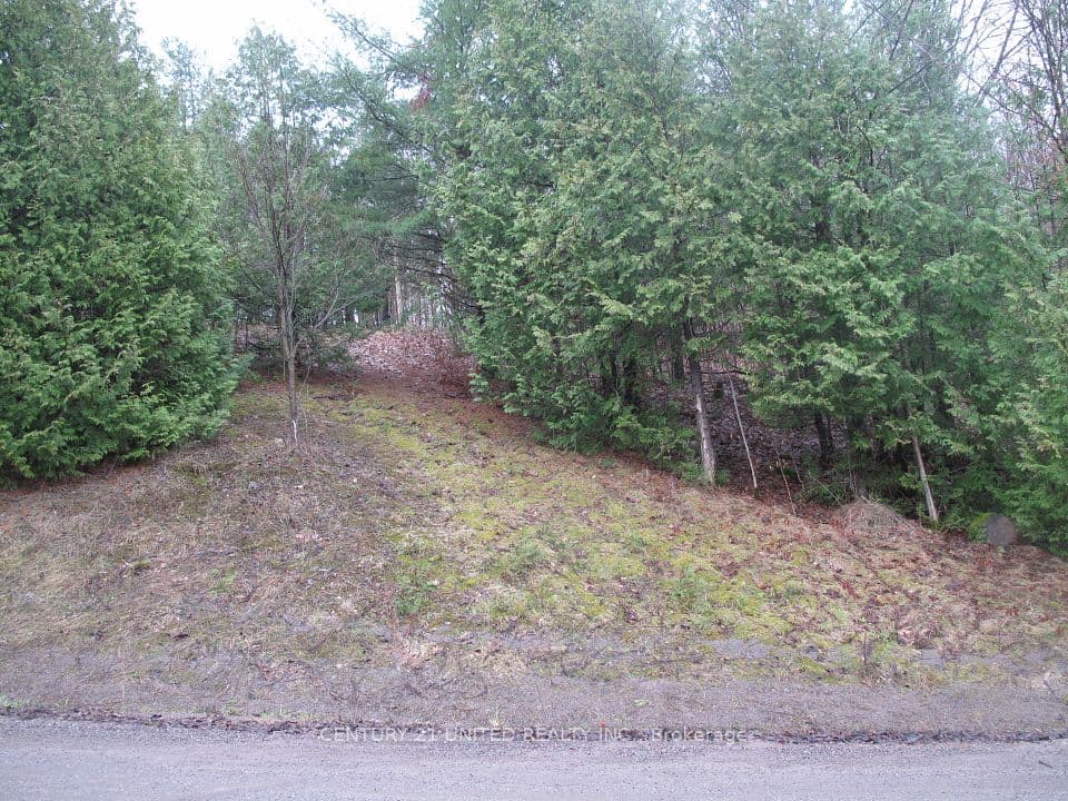 PTLT 37 TRENT VIEW Drive, Trent Hills, ON K0L 1Y0 – photo 2