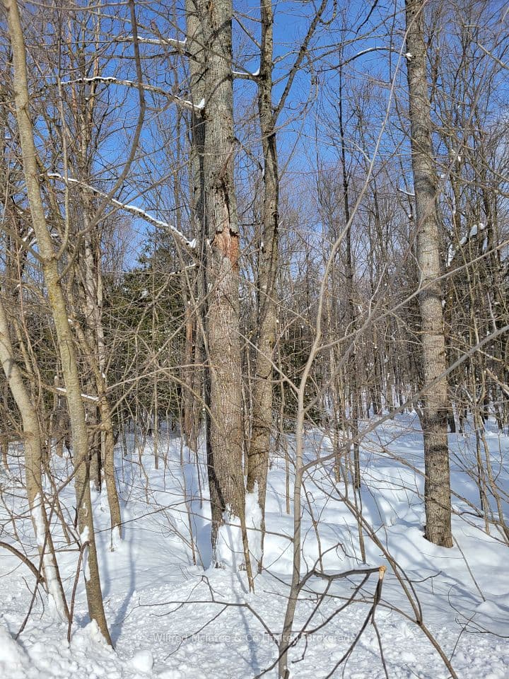PtLt 26 Mulock Road, West Grey, ON N0G 1S0 – photo 3