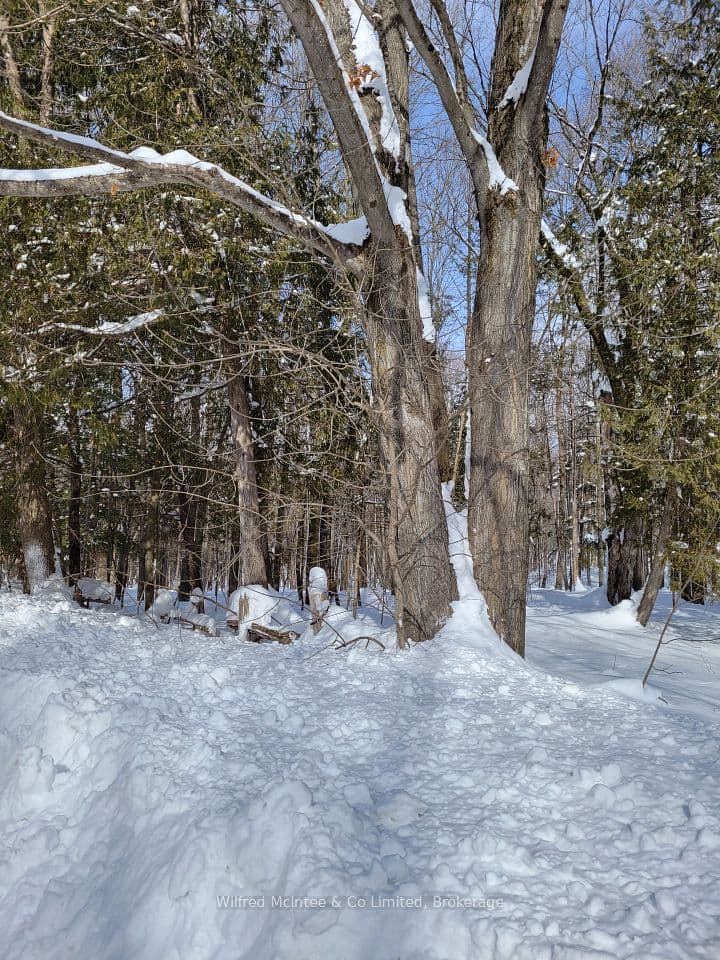 PtLt 26 Mulock Road, West Grey, ON N0G 1S0 – photo 2