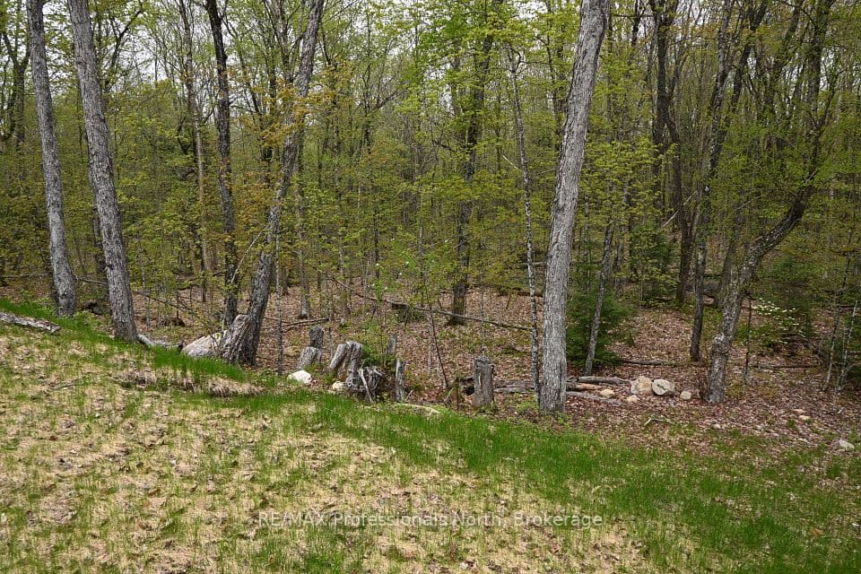 121 Loon Lake Road, Magnetawan, ON P0A 1Z0 – photo 3