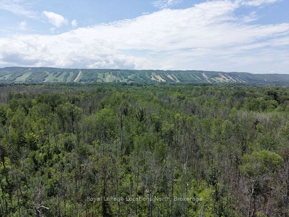 2-372 Grey Road 21 Road, Blue Mountains, ON L9Y 0K3 – photo 2