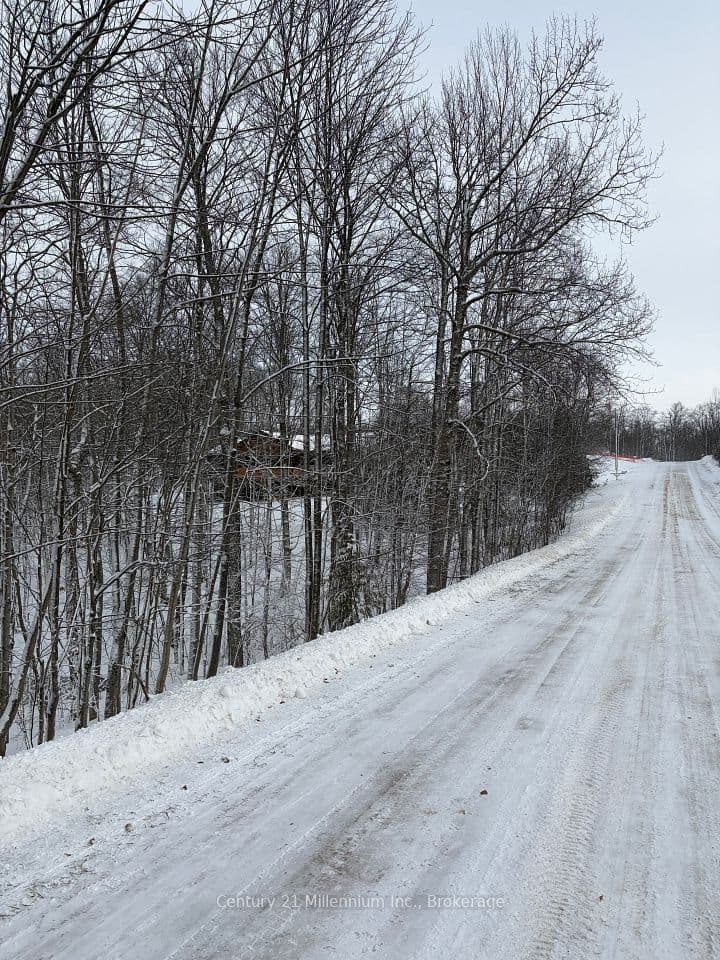 444613 CONCESSION 8, West Grey, ON N0C 1H0 – photo 3