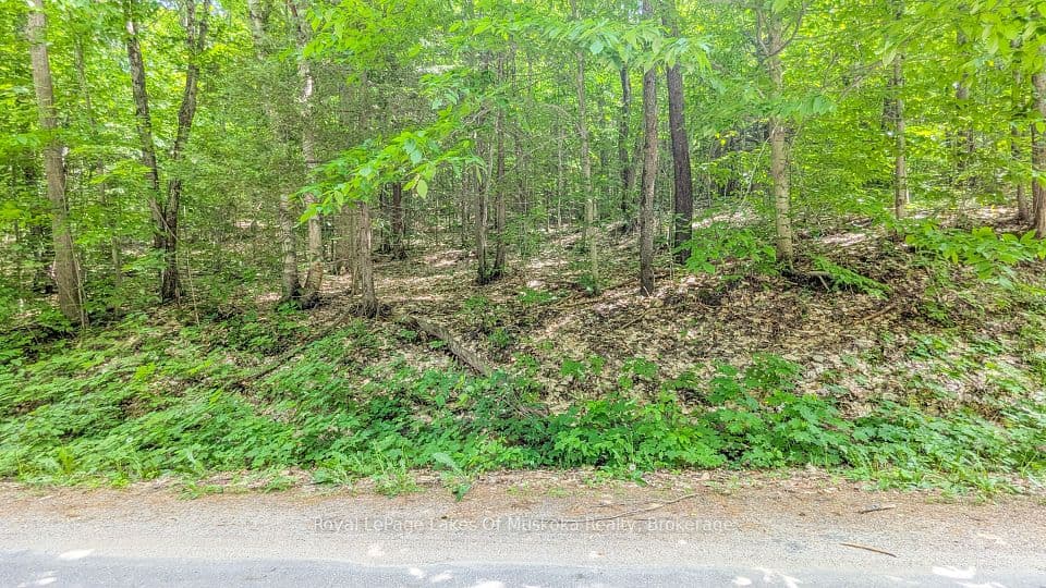 0 Rosseau Lake Rd 1, Muskoka Lakes, ON P0B 1M0 – photo 3