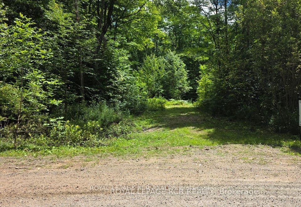 Pt Lot 6 Con 10 Monmouth Madill Road, Highlands East, ON K0M 1R0 – main photo