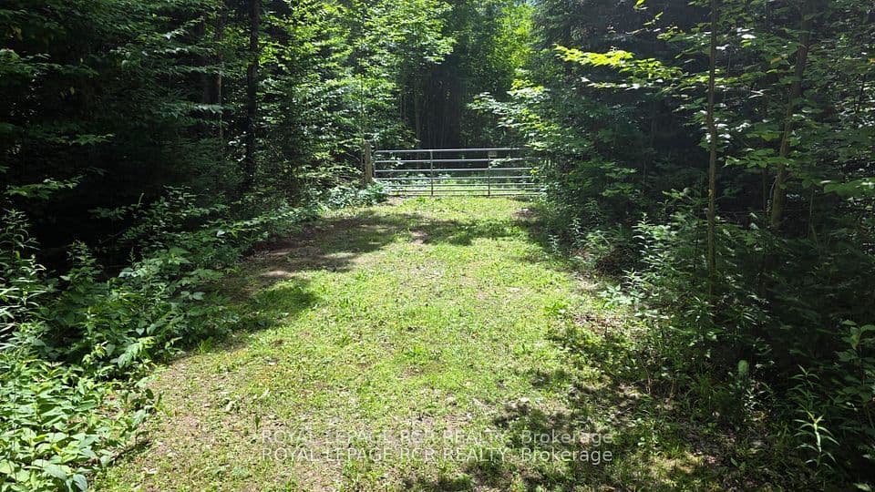Pt Lot 6 Con 10 Monmouth Madill Road, Highlands East, ON K0M 1R0 – photo 2