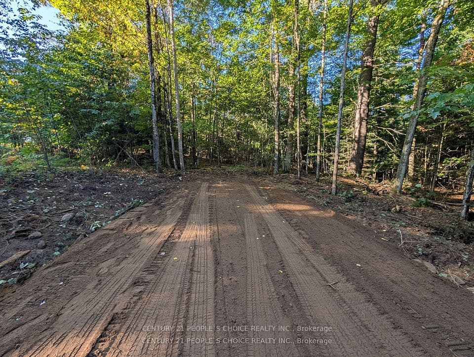 1055 W Porkys Road, Minden Hills, ON K0M 2K0 – main photo