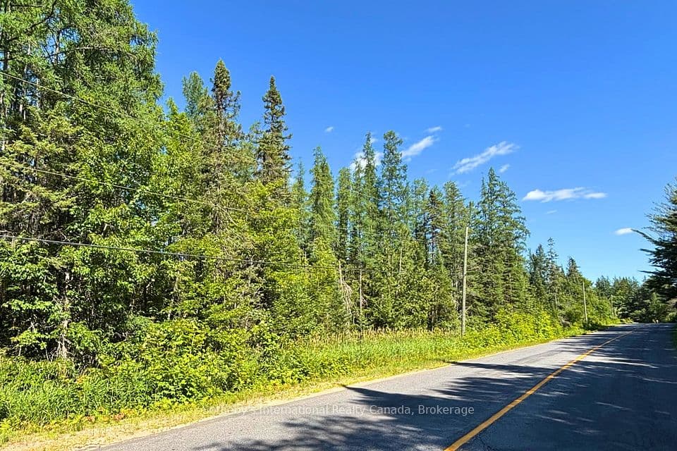 0- P1 Highway 518 W, McMurrich/Monteith, ON P0A 1Y0 – photo 3