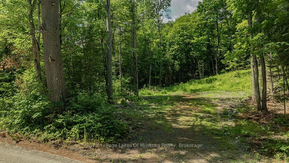 0000 Ril lake Road S, Lake of Bays, ON P0B 1A0 – photo 3