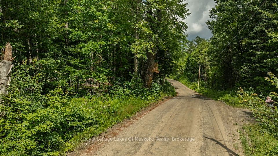 0000 Ril lake Road S, Lake of Bays, ON P0B 1A0 – photo 2