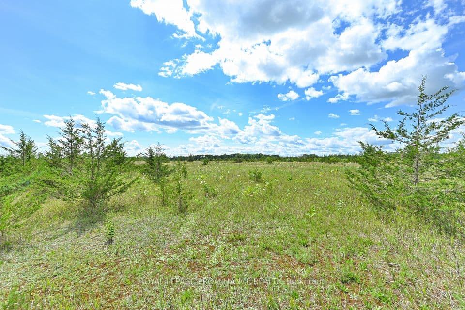 1575 Marysville Road, Tyendinaga, ON K0K 2N0 – photo 3