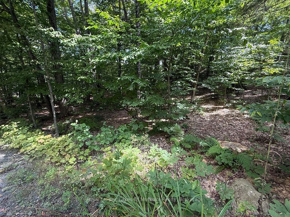 Lot 85 Brennan Circle, Huntsville, ON P1H 2J2 – main photo
