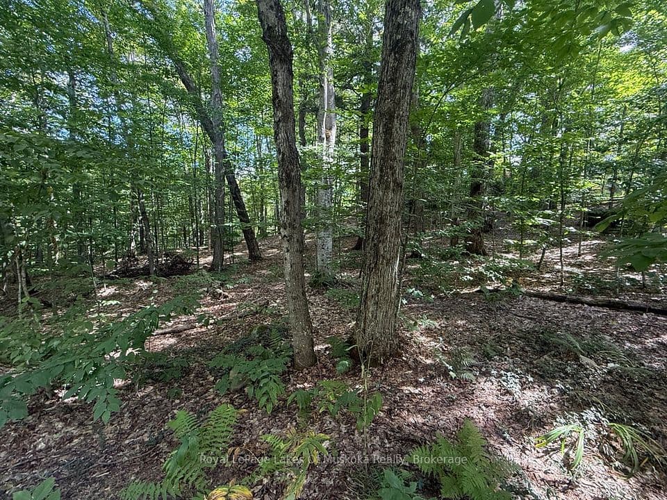 Lot 85 Brennan Circle, Huntsville, ON P1H 2J2 – photo 3