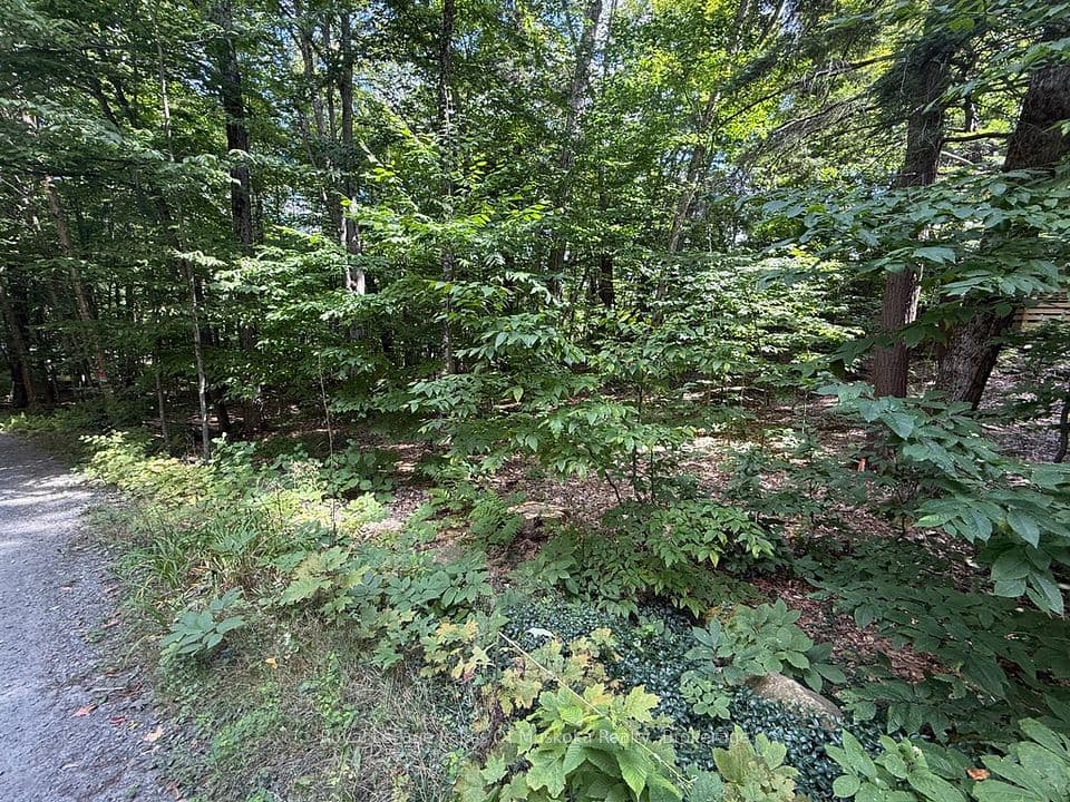 Lot 85 Brennan Circle, Huntsville, ON P1H 2J2 – photo 2
