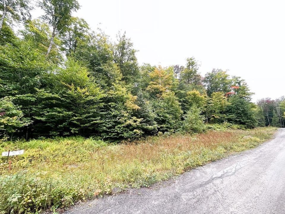 75 GRANITE Drive, Huntsville, ON P0A 1R0 – photo 3