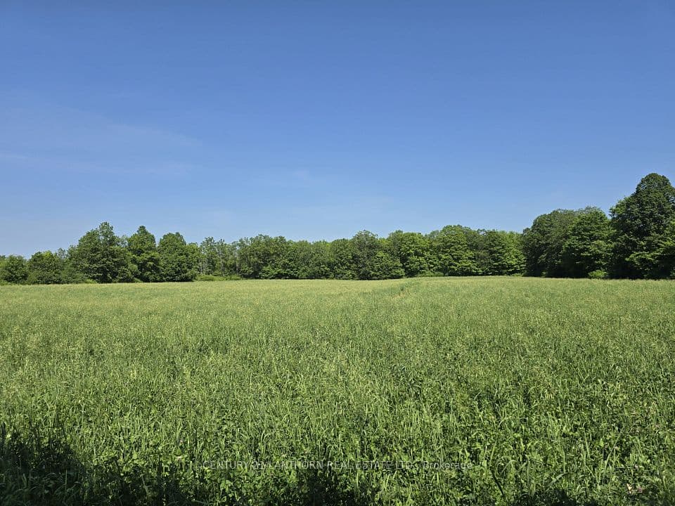 0 Shannonville Road, Tyendinaga, ON K0K 1V0 – main photo