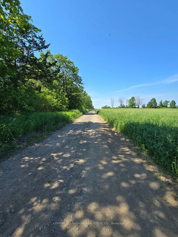 0 Shannonville Road, Tyendinaga, ON K0K 1V0 – photo 3