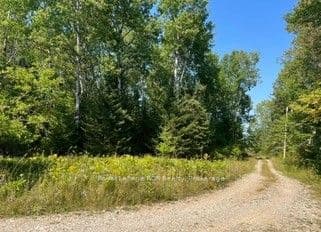 25 I Street, Cockburn Island, ON P0P 1R0 – photo 3
