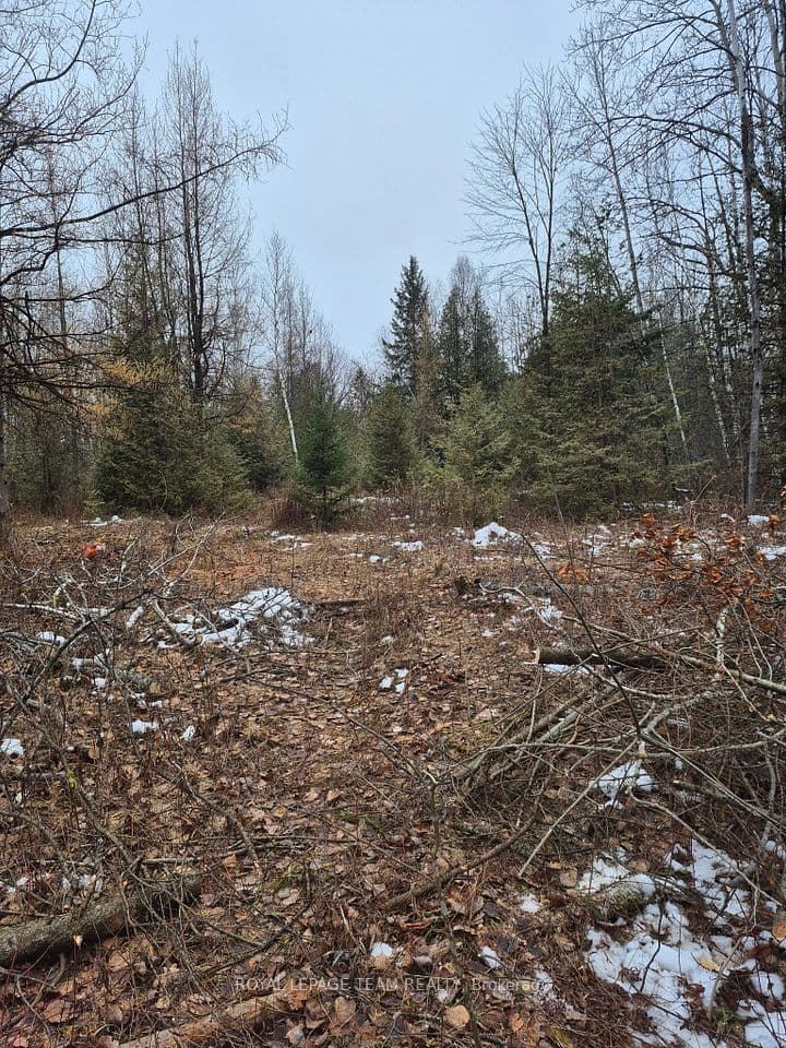 2819 Cowell Road, Manotick - Kars - Rideau Twp and Area, ON K0A 2T0 – photo 2