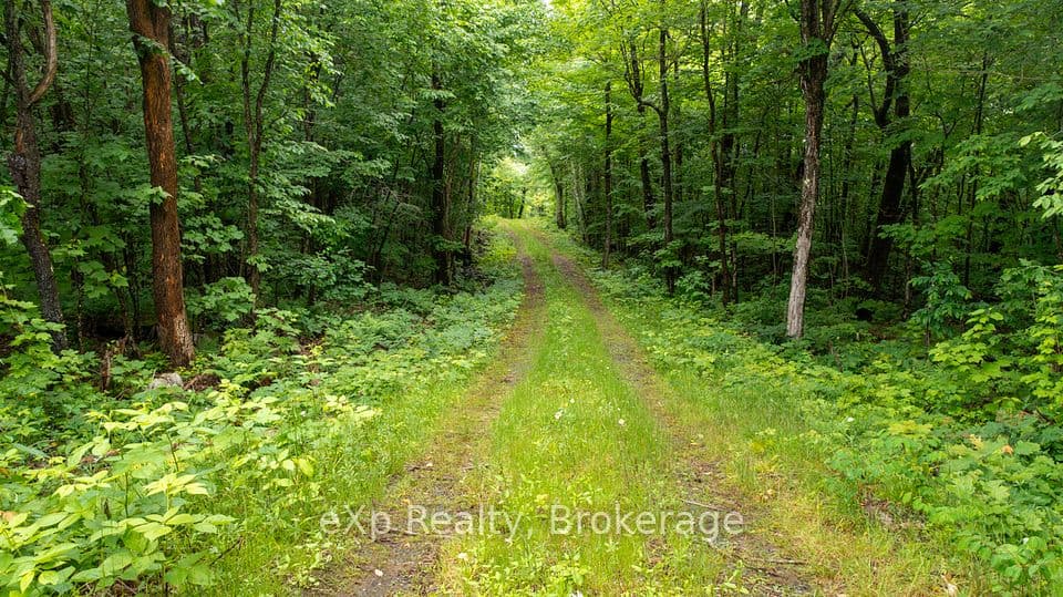 3 Kingfisher Road, McDougall, ON P2A 2W9 – main photo