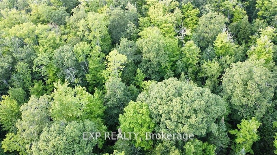 Lot B Chippawa Road, Madawaska Valley, ON K0J 1B0 – photo 2