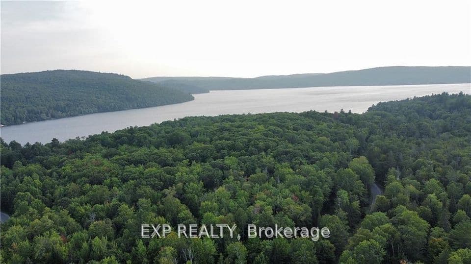Lot B Chippawa Road, Madawaska Valley, ON K0J 1B0 – photo 3