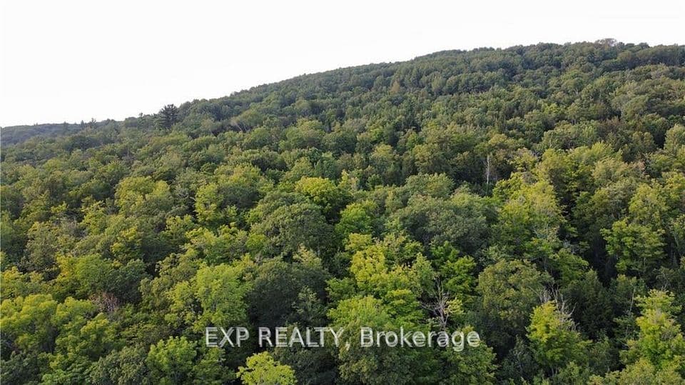 Lot A Chippawa Road, Madawaska Valley, ON K0J 1B0 – photo 3